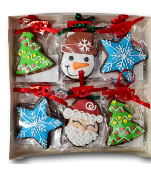 Biscuiti cu glazura decorati Craciun- set de 12 buc